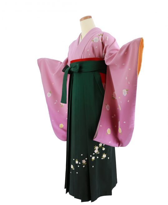 卒業式袴レンタルNo.535[王道古典]ピンク×紫グラデ・八重桜